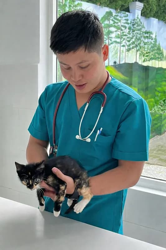 BS Chương nựng mèo 🐾