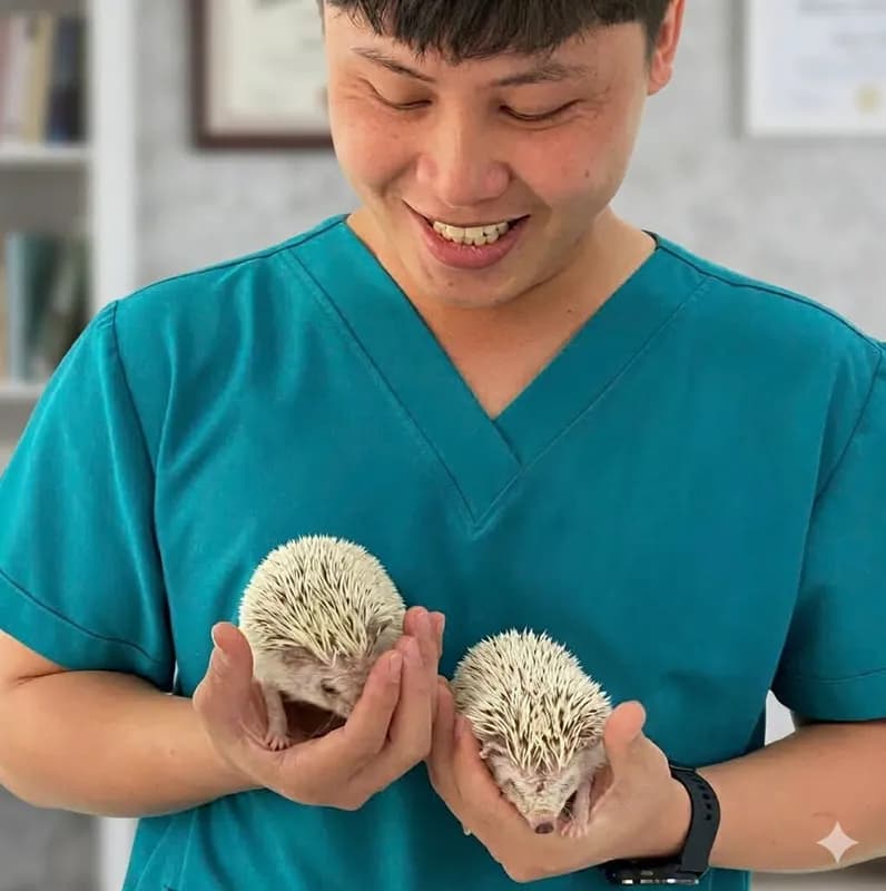 BS Chương mê nhím quá 🦔